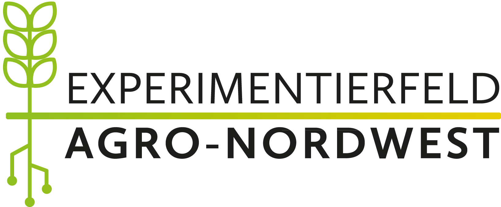 logo_experimentierfeld.png
