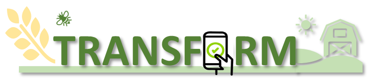 logo_transform.png